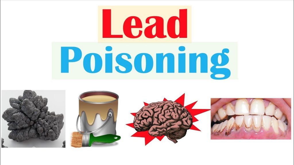 USAID, SON Partner to tackle Lead Poisoning in Nigeria