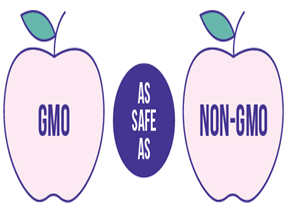 Genetically Modified Foods (GMOs): FG Strengthens Collaboration on Safety